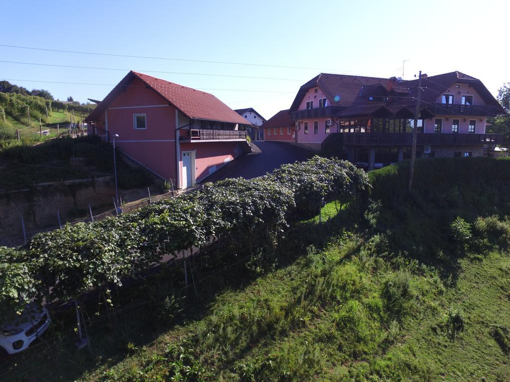 Guesthouse Kaucic Benedikt v Slovenskih Goricah Esterno foto