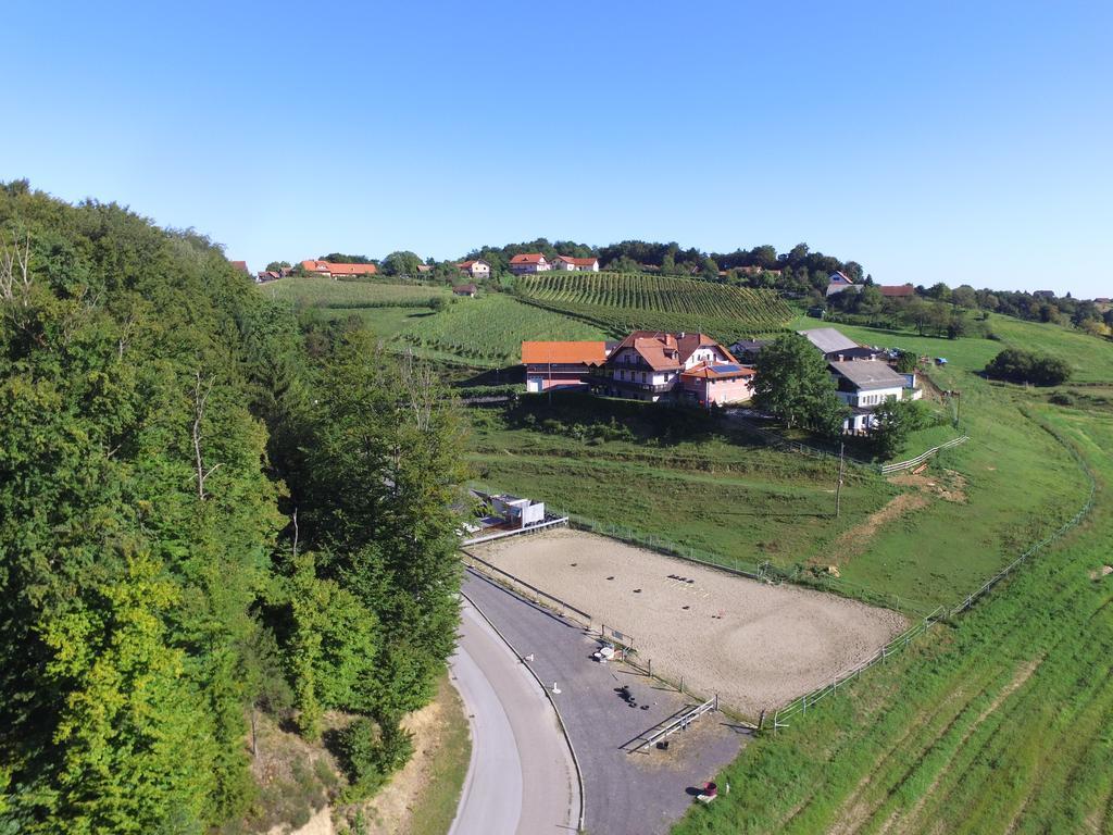 Guesthouse Kaucic Benedikt v Slovenskih Goricah Esterno foto